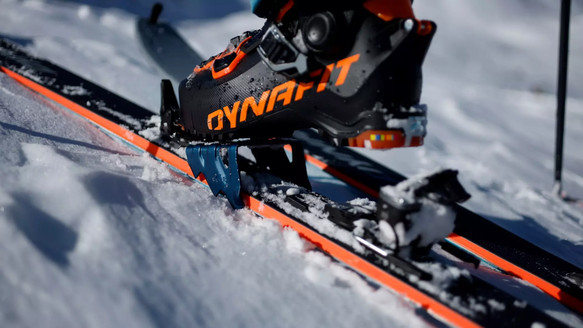 Your Gateway to Mountain Adventures